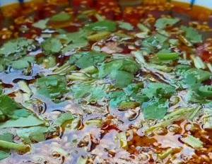 酸汤饺子这样做才好吃,酸辣开胃又解馋,保证你吃一次就忘不了