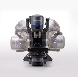 使用显微镜的实验步骤？（显微镜的使用步骤）