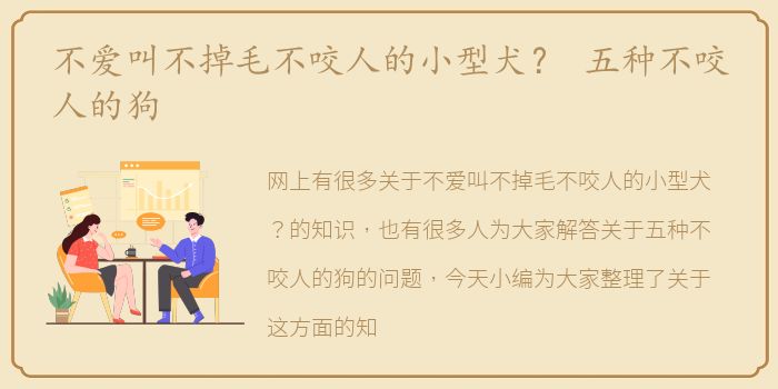 不爱叫不掉毛不咬人的小型犬？ 五种不咬人的狗