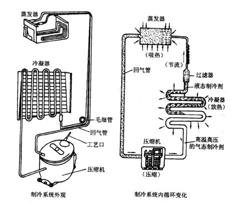 初中物理，电冰箱工作原理是什么？（电冰箱的工作原理）