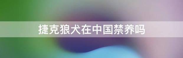 成都禁养捷克狼犬吗？（捷克狼犬在中国禁养吗）