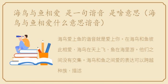 海鸟与鱼相爱 是一句谐音 是啥意思（海鸟与鱼相爱什么意思谐音）