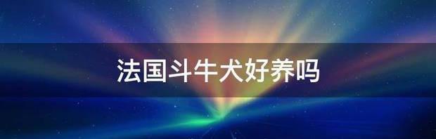 法斗好养还是英斗好养？（法国斗牛犬好养吗）