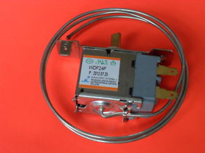 冰箱里的温控器多少钱一个？（冰箱温控器价格）