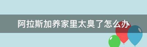 阿拉斯加养家里太臭了怎么办 阿拉斯加养家里太臭了