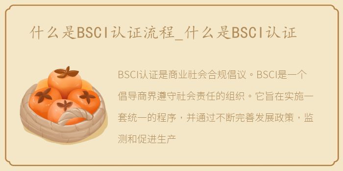 什么是BSCI认证流程_什么是BSCI认证
