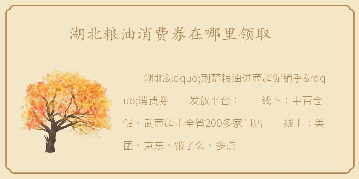 湖北粮油消费券在哪里领取