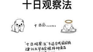 猫抓后的10日观察法是真的吗? 十日观察法害死多少人