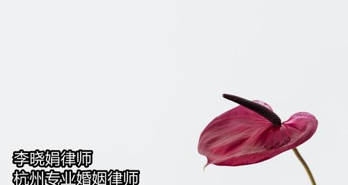 起诉抛夫弃子的女人诉讼状怎么写？（离婚起诉状女方怎么写）