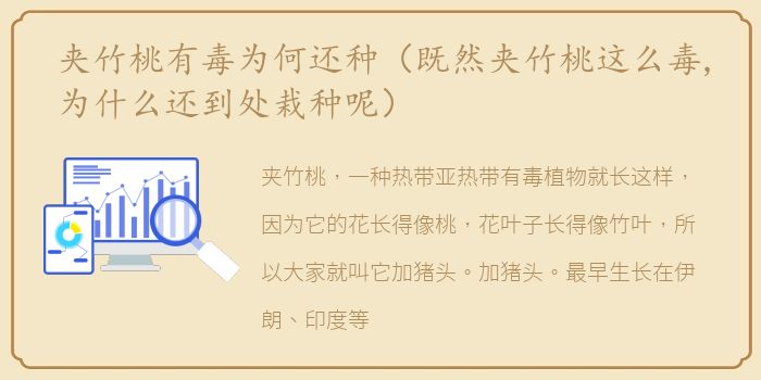 夹竹桃有毒为何还种（既然夹竹桃这么毒,为什么还到处栽种呢）