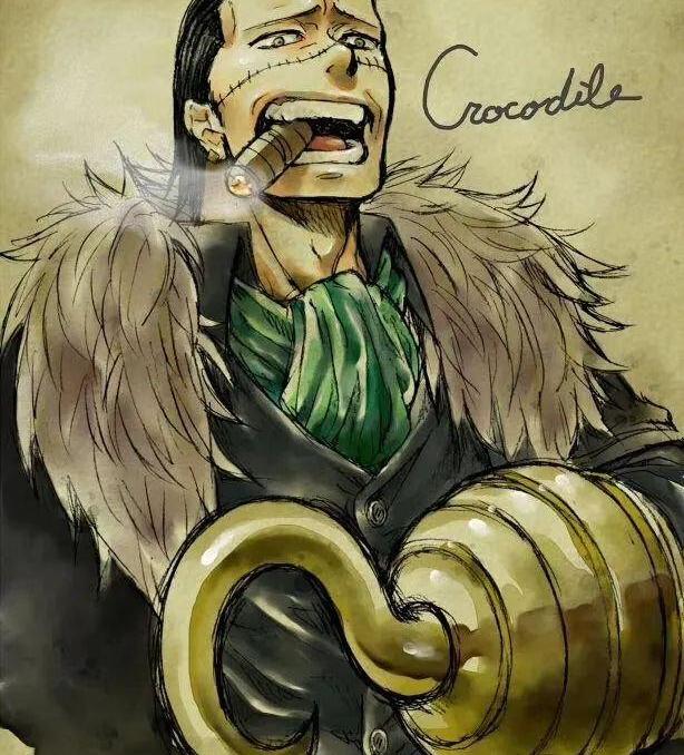 克洛克达尔海贼团叫什么,海贼王克洛克达尔