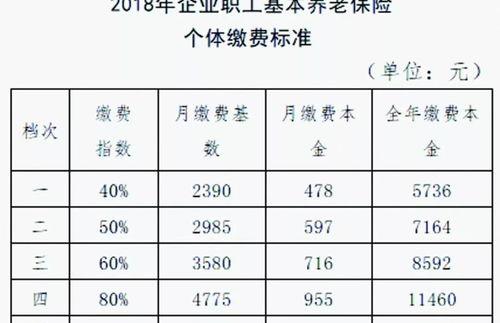 养老保险的缴费基数是什么（养老保险缴费基数）
