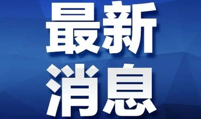 天通苑附近有狗市嘛?我家里有只5个月的黑色泰迪 现在是30厘米 是玩具的嘛?不知道去哪里卖 应该卖多少钱 附近卖狗市场
