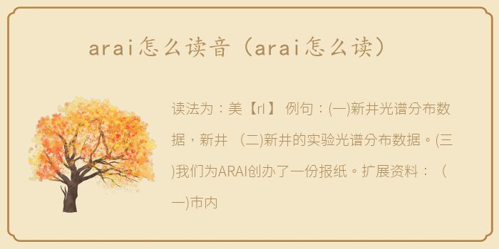 arai怎么读音（arai怎么读）