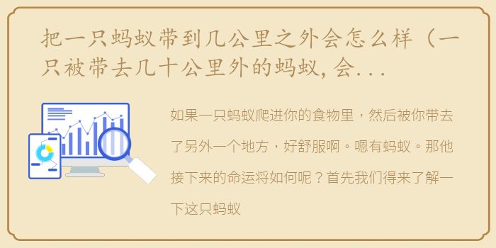 把一只蚂蚁带到几公里之外会怎么样（一只被带去几十公里外的蚂蚁,会被当地蚂蚁接受吗）