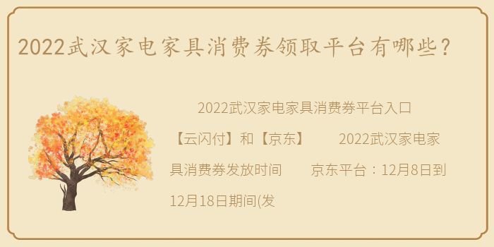 2022武汉家电家具消费券领取平台有哪些？