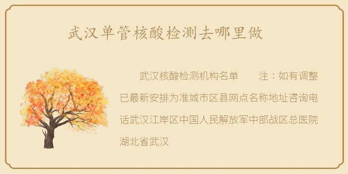 武汉单管核酸检测去哪里做