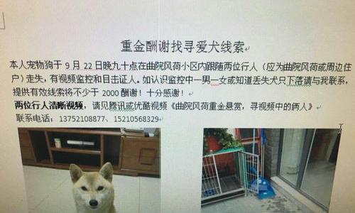 小狗可以快递吗？ 附近收宠物狗的电话