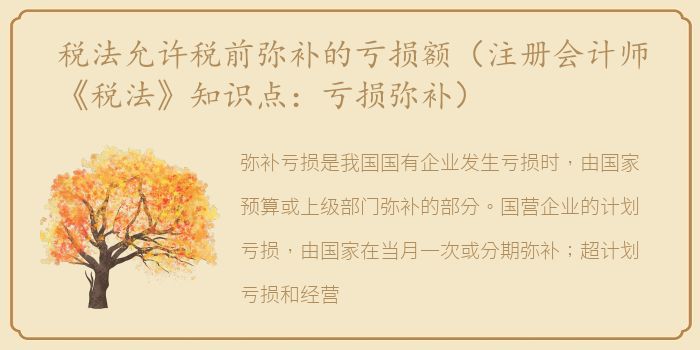 税法允许税前弥补的亏损额（注册会计师《税法》知识点：亏损弥补）