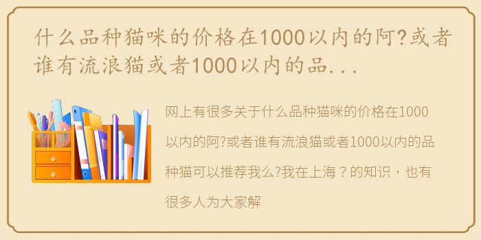 什么品种猫咪的价格在1000以内的阿?或者谁有流浪猫或者1000以内的品种猫可以推荐我么?我在上海? 猫的品种大全报价表
