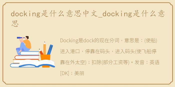 docking是什么意思中文_docking是什么意思