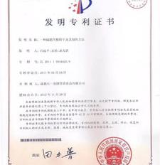 中国专利局官方网？（国家专利网）