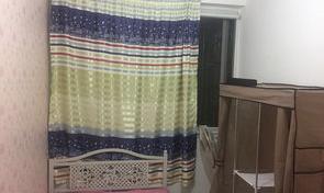 西峰有一室一厅的房子出租吗？（一室一厅出租300左右）