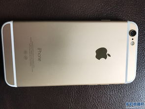 小米手环7如何连接苹果手机？（小米手环 iphone）