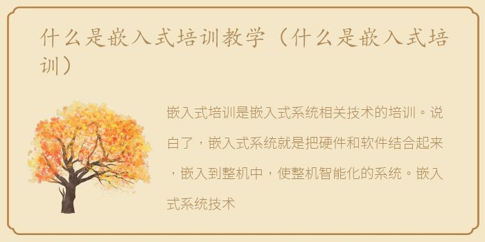 什么是嵌入式培训教学（什么是嵌入式培训）