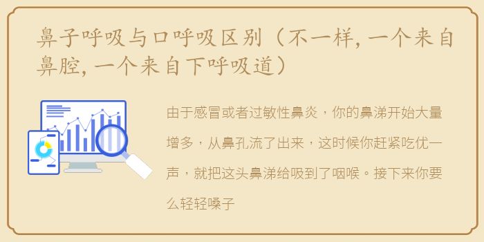 鼻子呼吸与口呼吸区别（不一样,一个来自鼻腔,一个来自下呼吸道）