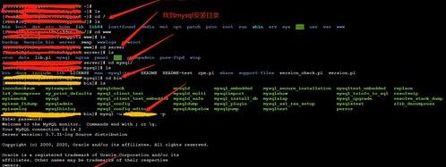mysql常用查询命令?（mysql命令）