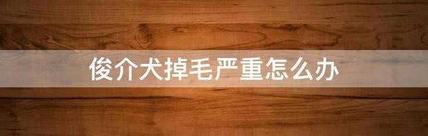俊介犬能长多大？（俊介犬的优缺点）