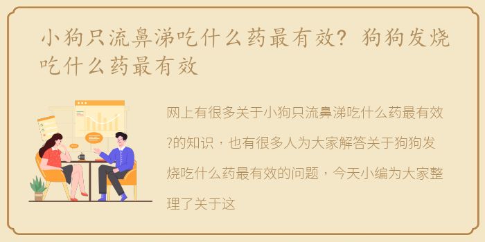 小狗只流鼻涕吃什么药最有效? 狗狗发烧吃什么药最有效