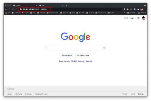 在浏览器的地址栏输入网址后怎么总是转到百度搜索?（地址栏搜索）