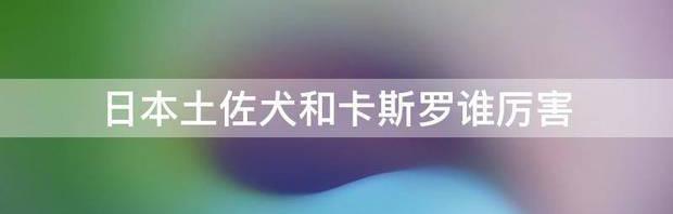 土佐犬和库达犬哪个体型大点？（土佐犬）