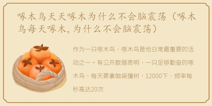 啄木鸟天天啄木为什么不会脑震荡（啄木鸟每天啄木,为什么不会脑震荡）