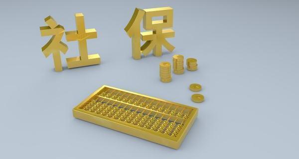 养老保险怎么查询？（社会养老保险缴费查询）