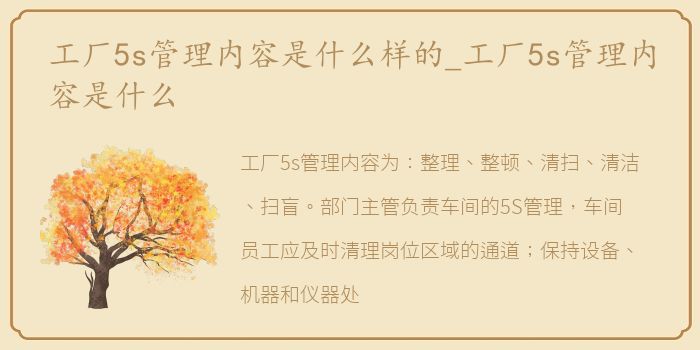 工厂5s管理内容是什么样的_工厂5s管理内容是什么