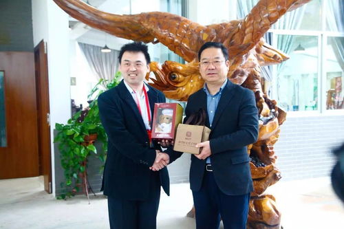 关于哇噶这款软件（哇噶）