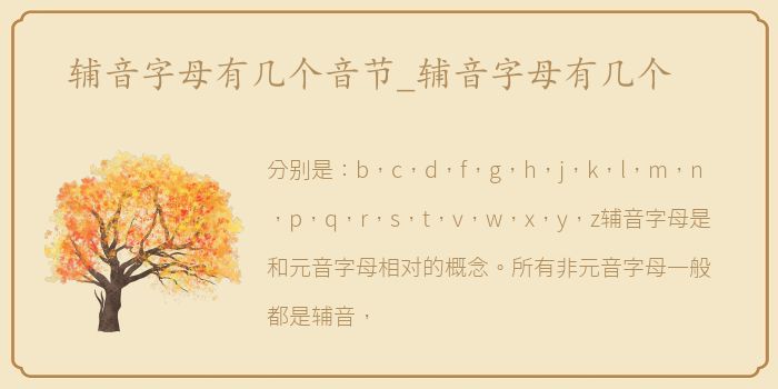 辅音字母有几个音节_辅音字母有几个