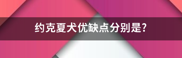 雪纳瑞和约克夏哪个更适合饲养？（约克夏犬优缺点）