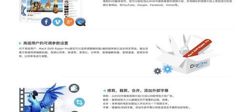 dvd支持什么格式？（dvd支持什么格式）