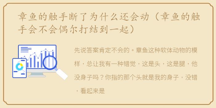 章鱼的触手断了为什么还会动（章鱼的触手会不会偶尔打结到一起）