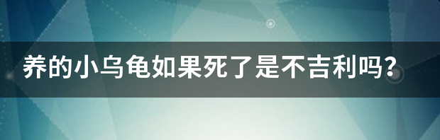 养的小乌龟如果死了是不吉利吗？（为什么说养巴西龟不吉利）