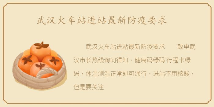 武汉火车站进站最新防疫要求
