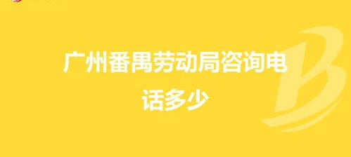 劳动局可以咨询什么问题？（劳动局官网在线咨询）