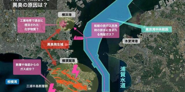 铁人三项选手全呕吐文章_铁人三项选手全呕吐