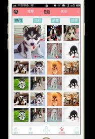 宠物市场app的担保交易可靠吗？（宠物交易平台app）