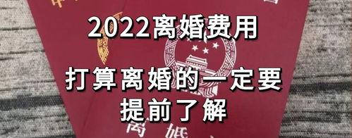 2022我国新婚姻法？（2022年离婚可以当天离吗）