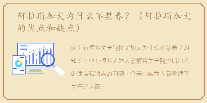 阿拉斯加犬为什么不禁养？（阿拉斯加犬的优点和缺点）